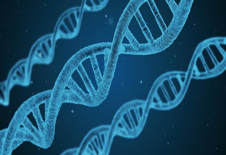 dna_pixabay