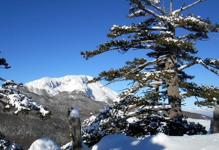 montagna_calabria_pollino_summitpost