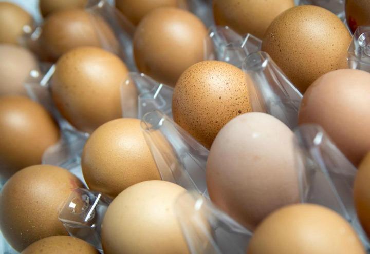 uova_galline_allevamento_cibo_lapresse