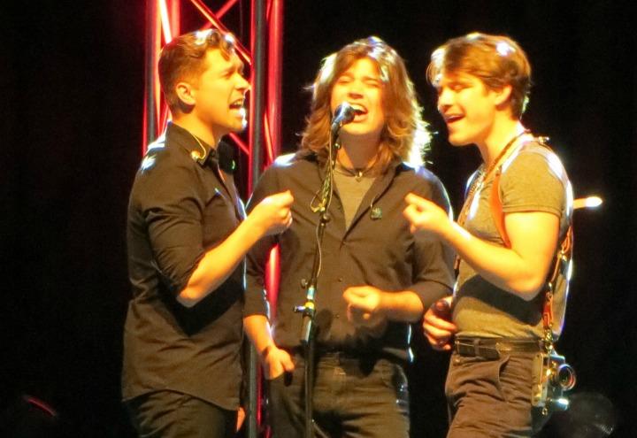 Hanson_wikipedia_2013