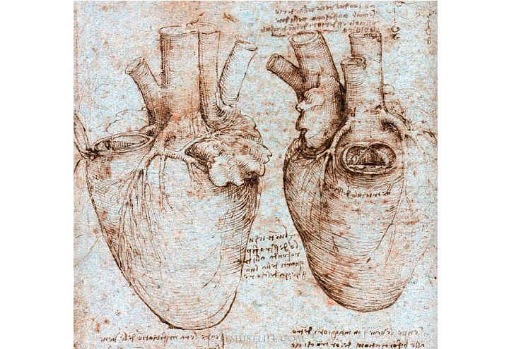 Minoli_64_00_cuore-apertura_720x495_ok