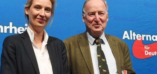 alice_weidel_alexander_gauland_afd_germania_web
