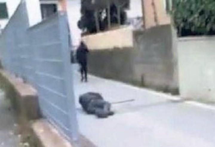anziano_aggredito_pistoia_video_facebook_2018