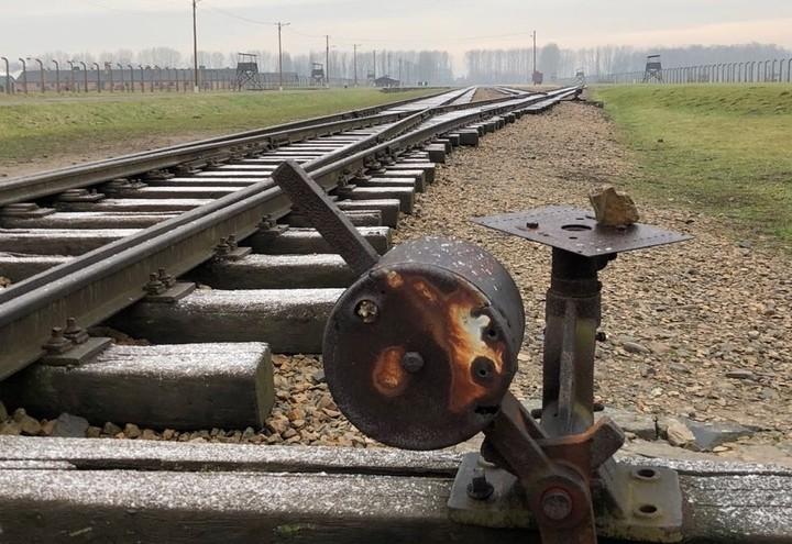 auschwitz_nazismo_ebrei_2_graziotto.jpg
