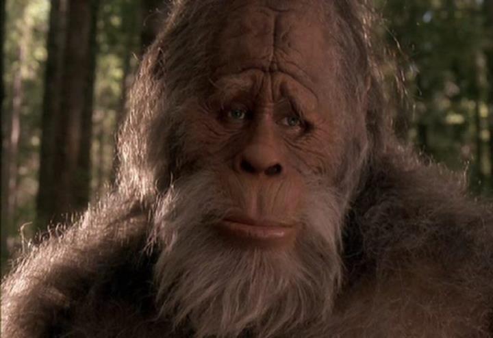 bigfoot_e_i_suoi_amici_film