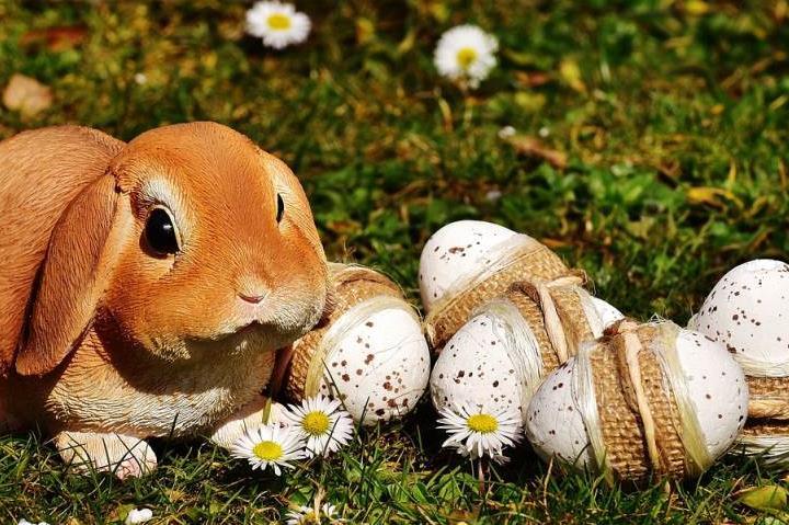 buonapasqua_03_pixabay