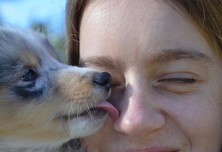 cane_bacio