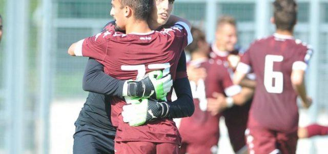 cucchietti_torino_primavera_lapresse_2017