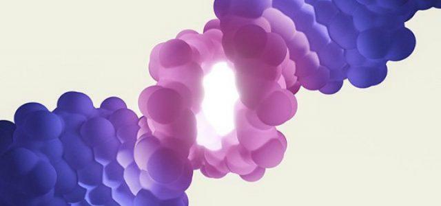 dna_genoma_scienza_scoperte_twitter_2018
