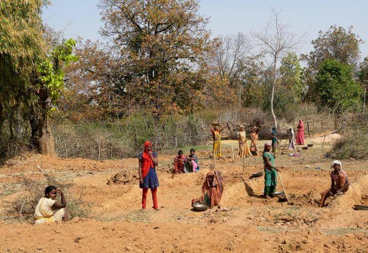 donne_lavoro_Madhya_Pradesh_India_wikipedia_2017