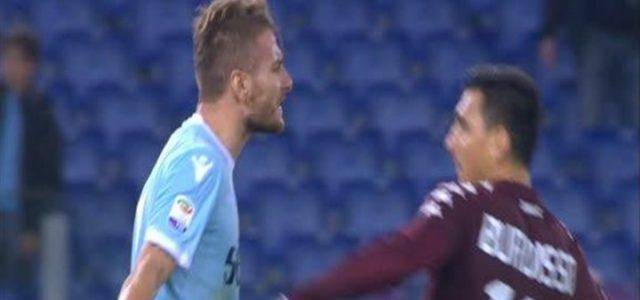 immobile_burdisso