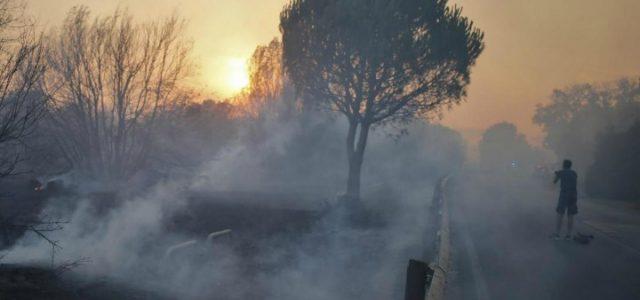 incendio_caldo_pineta_bosco_1_lapresse_2017