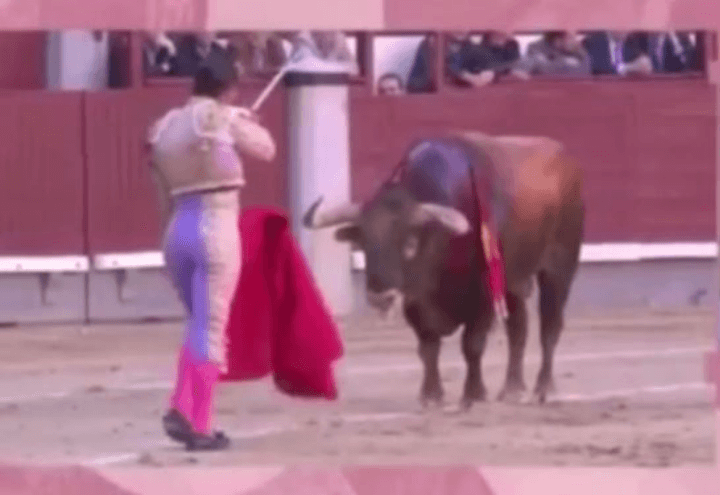 ivan_fandino_matador_2017