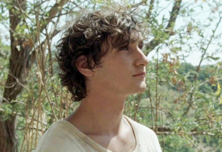lazzaro_felice_web