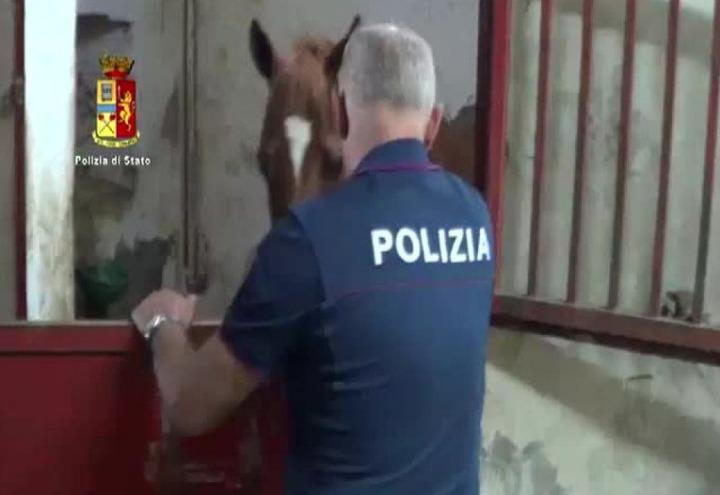 maltrattamento_cavalli_maneggio_polizia_animali_twitter_2017