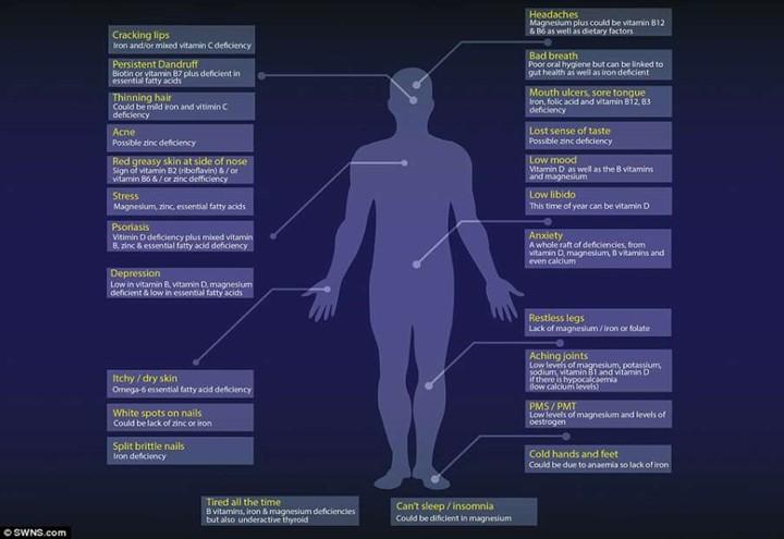 mappa_corpo_umano_vitamine_dailymail
