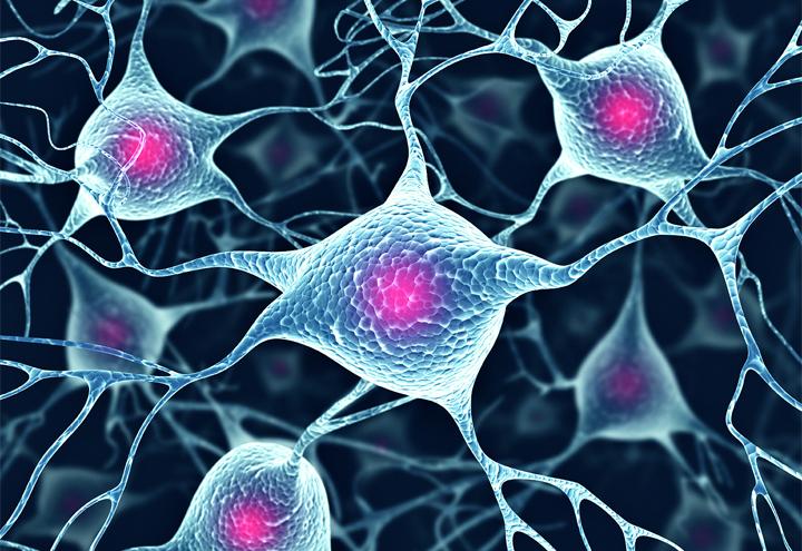 neuroscienze_2018