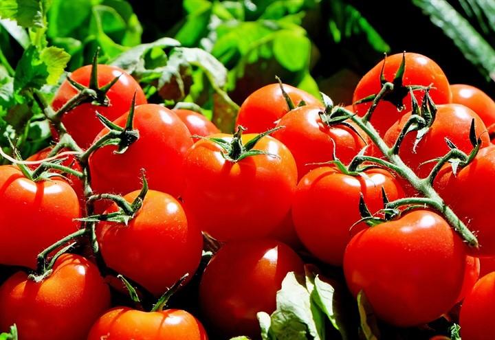 pomodori_pixabay