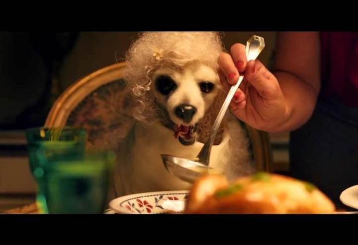 pongo_il_cane_milionario_film