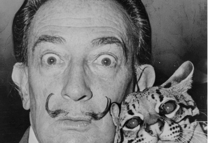 salvador_dali_wikipedia