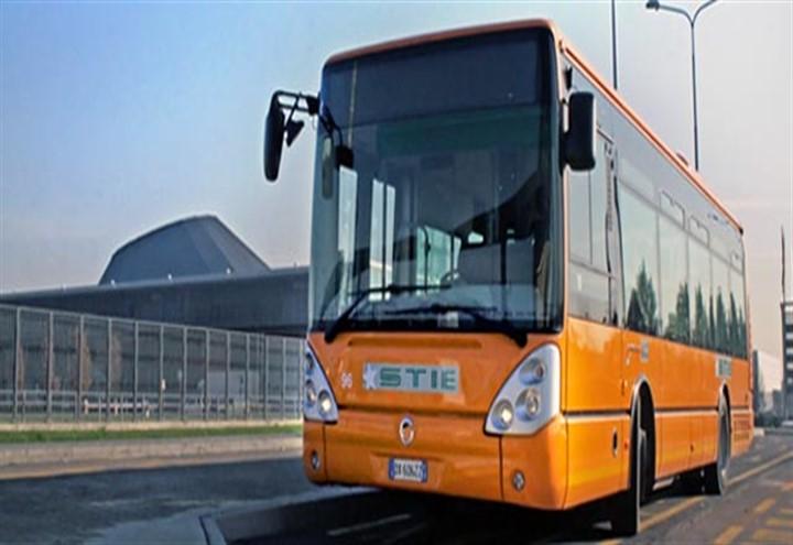 stie_bus