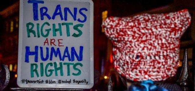 trans_lgbt_gay_gender_diritti_civili_lapresse_2017