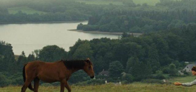 war_horse_film