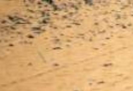 Deserto__R439