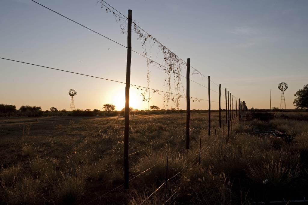 africa_campo