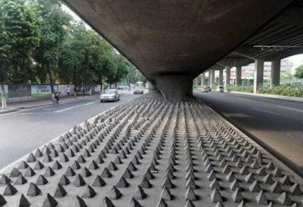anti_homeless_R439