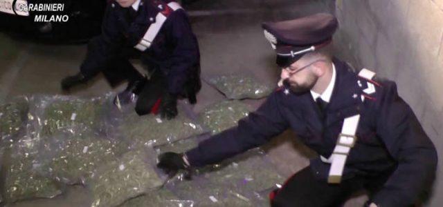 carabinieri_droga_sequestro_1_lapresse_2017