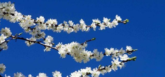 cielo_primavera