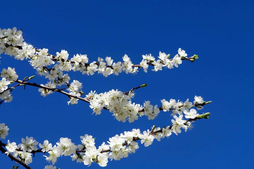cielo_primavera