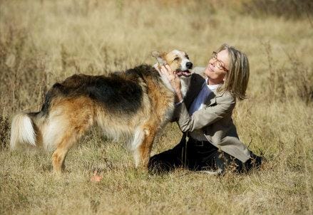 Darling Companion Darling Companion