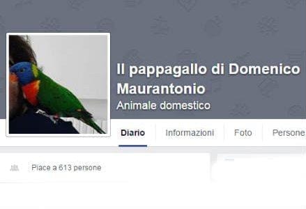 domenico_facebook_r439