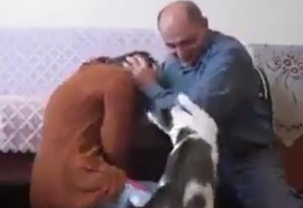 gatto_difende_padrona