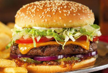 gourmet-cheeseburger_R439
