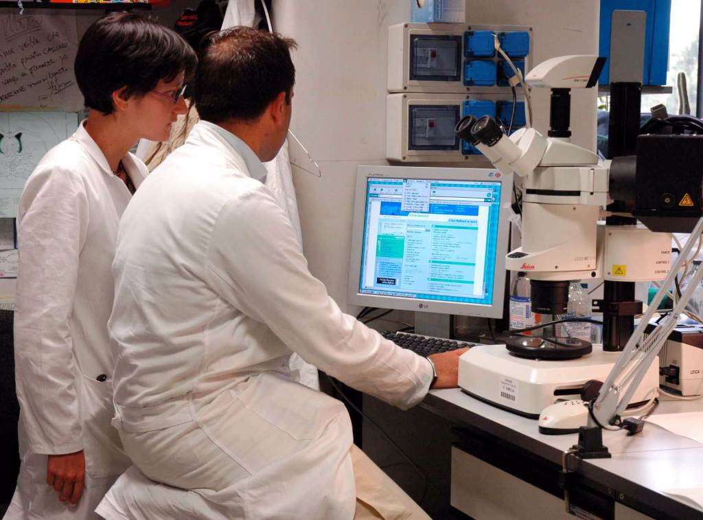 laboratorio_microscopio