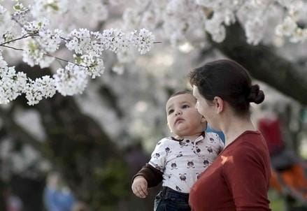 Festa Della Mamma 16 Frasi Di Auguri E Idee Oggi 8 Maggio Gigi D Alessio Ricorda La Mamma Cosi Foto