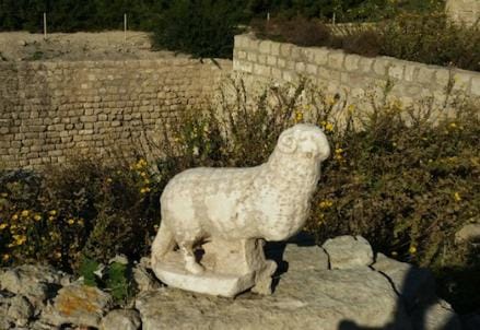montone_statua_R439