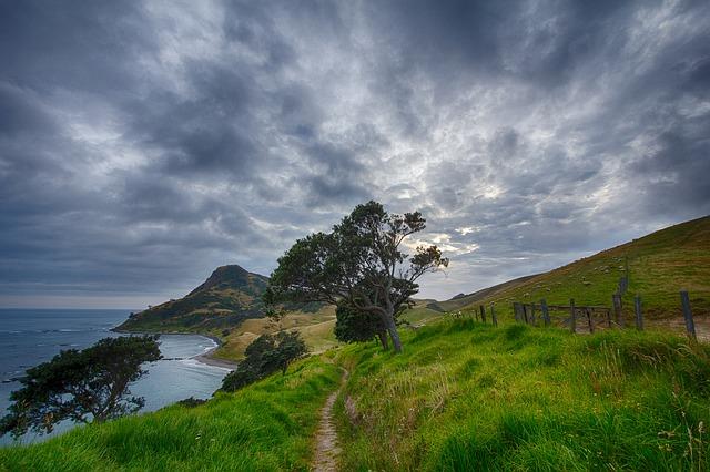 new-zealand-583174_640