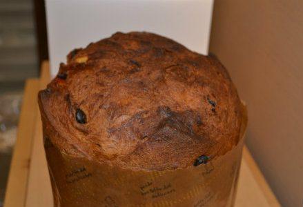 panettone_gatti_R439