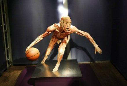 real-bodies_R439