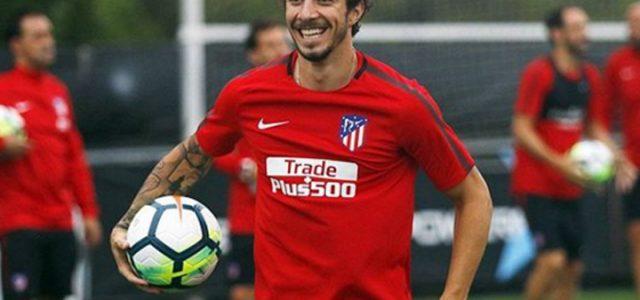 sime_vrsaljko_2017