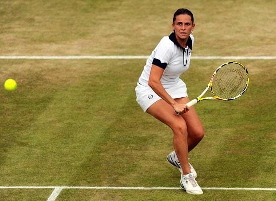 vinci