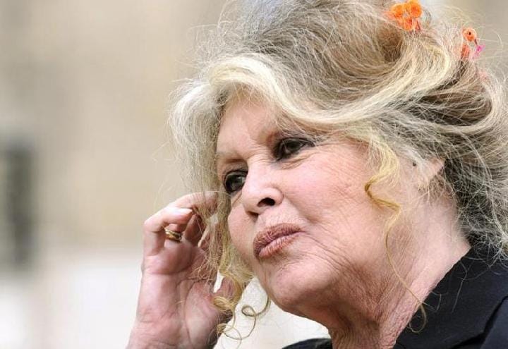 brigitte-bardot-macron
