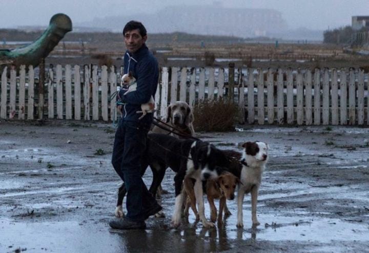dogman_film_web_2018