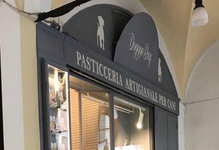 pasticceria_cani