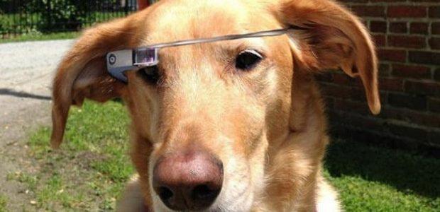 Google_Glass_FIDO