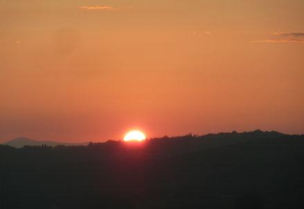 RossodimontalcinoR439